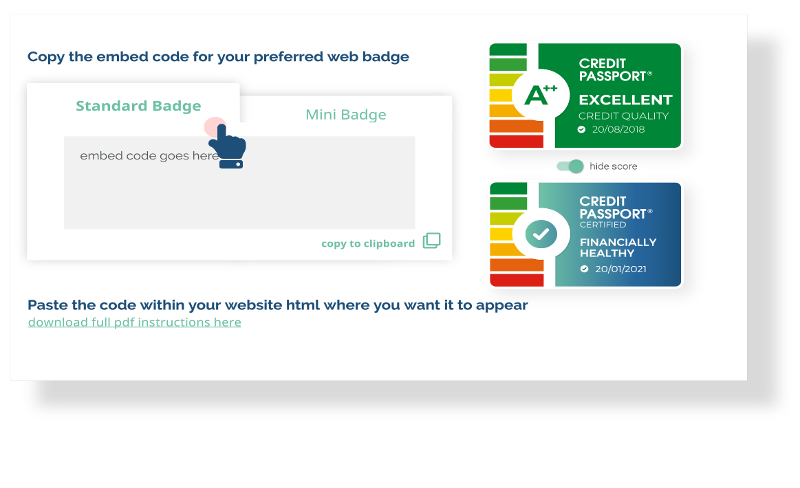 Financial Health Badge Embed