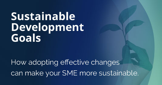 365 Sustainability