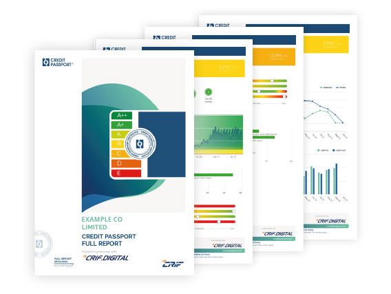 credit-score-guide-page-examples